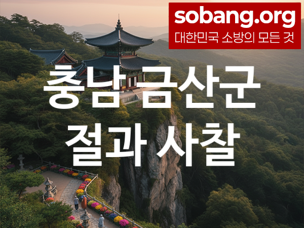 소방 절 800 800 123