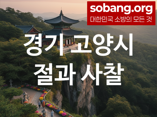 소방 절 800 800 21